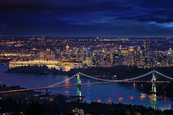 Night lights are burning in the city, life is boiling in it. A bridge stretches across the river