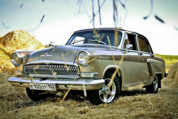 Luxusautos aus Zeiten der UdSSR im Feld