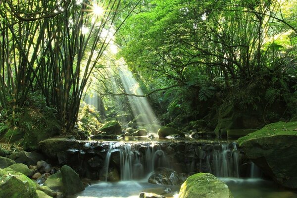 The summer sun reflected in the crystal waters