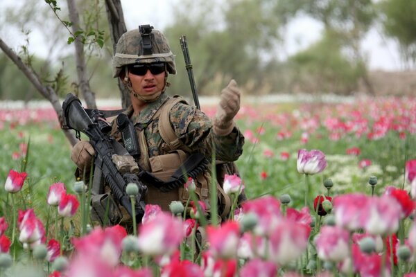 Militar estadounidense en el campo de las flores