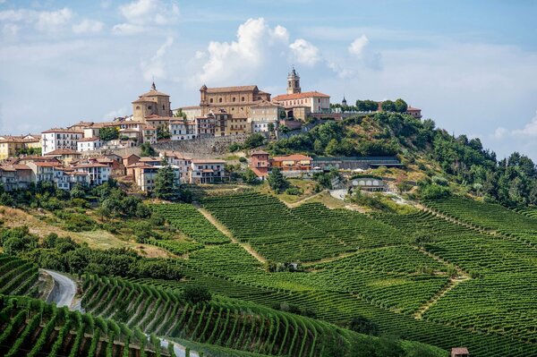 Green vineyards frame the Italian town