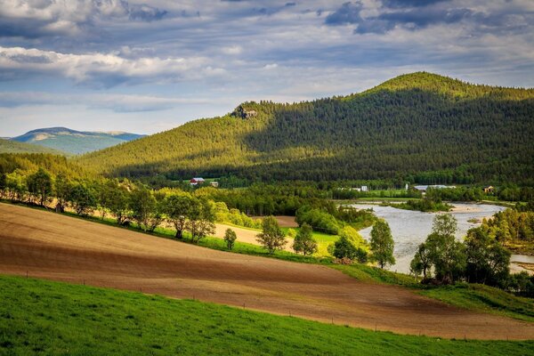 Grünes Feld und blauer Himmel