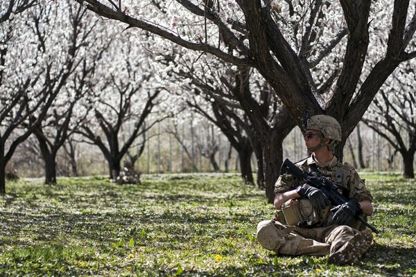 A soldier sits with a gun in the garden