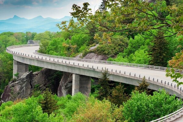 A road with a beautiful view