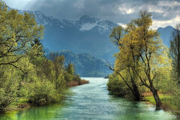 Fluss zwischen Wald und Bergen