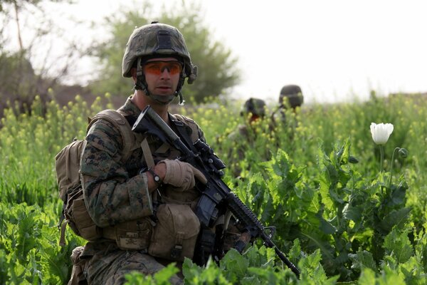 Militaire américain dans un champ vert