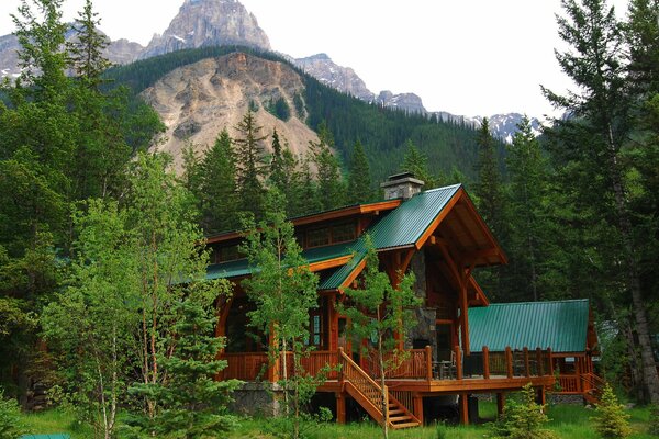 Casa en el bosque entre las montañas en verano