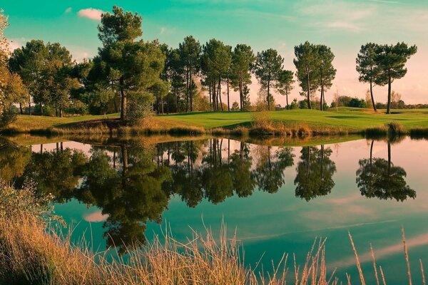 Naturaleza de verano lago con árboles