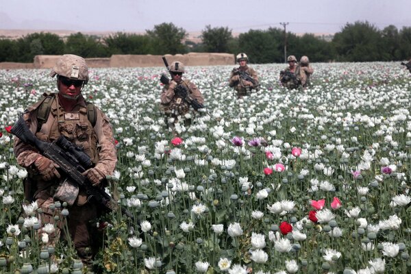 Soldaten im Feld mit Waffen in Blumen