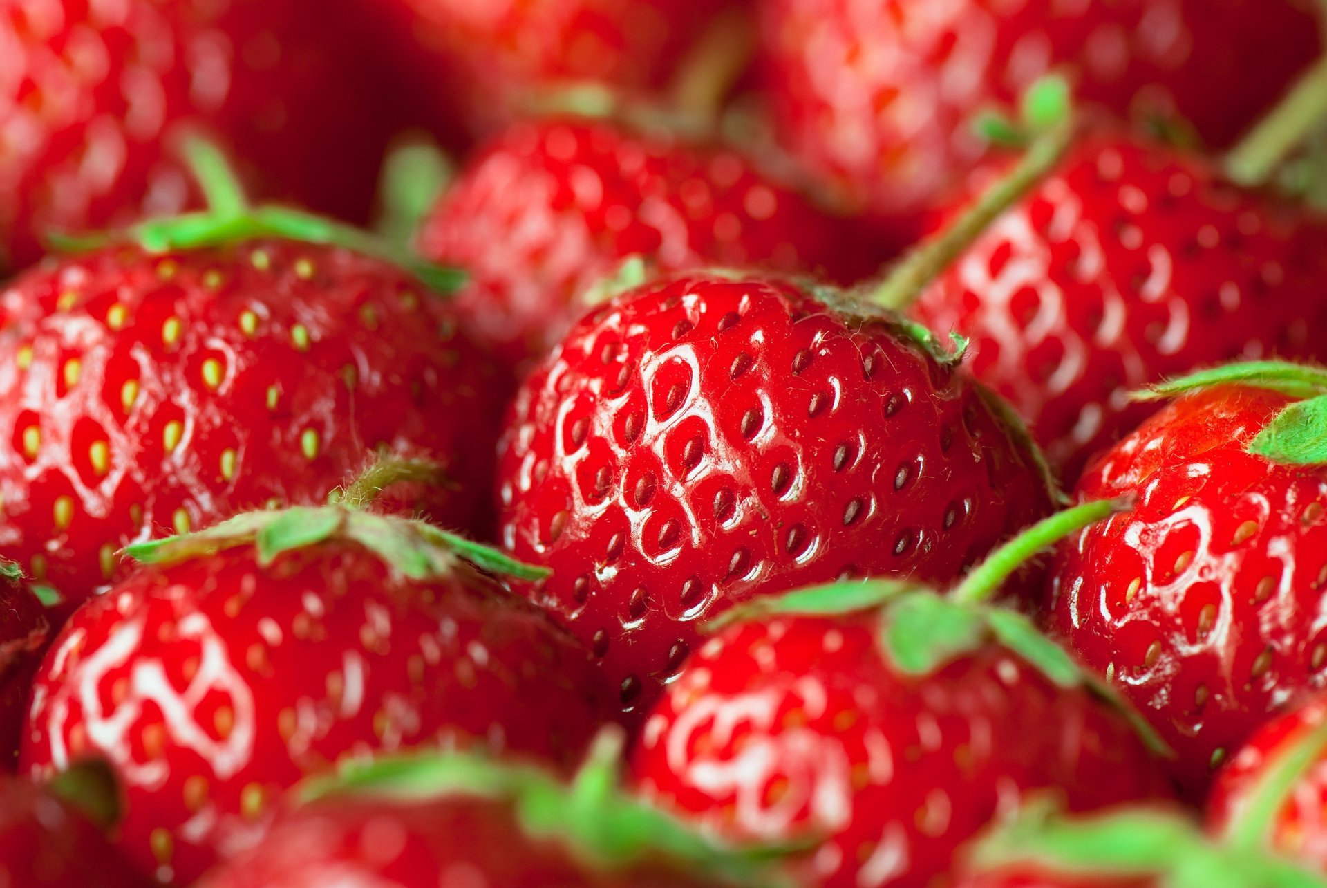 obst erdbeere schließen viele makro