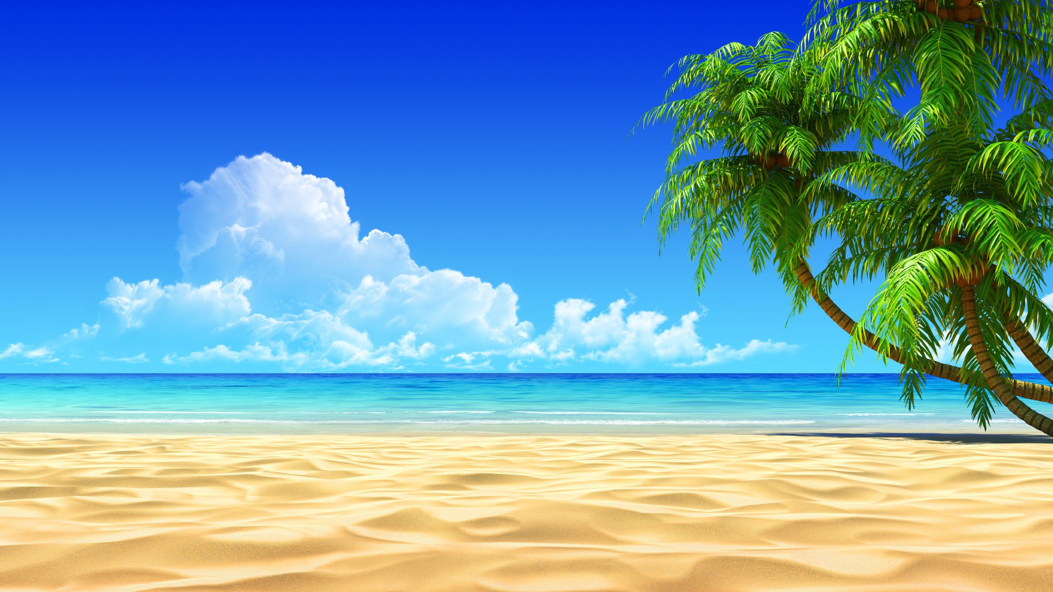 tropics photoshop summer sand the ocean the sky clouds palm trees shadow