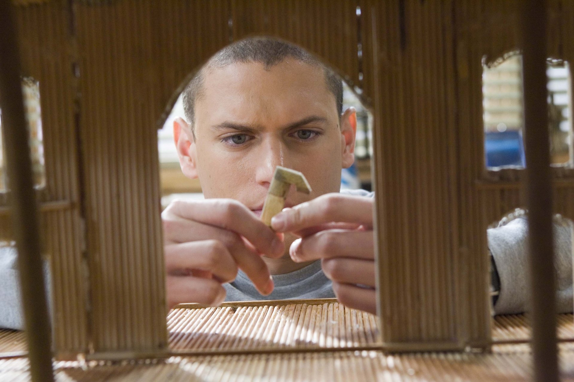 wentworth miller schauspieler prison break