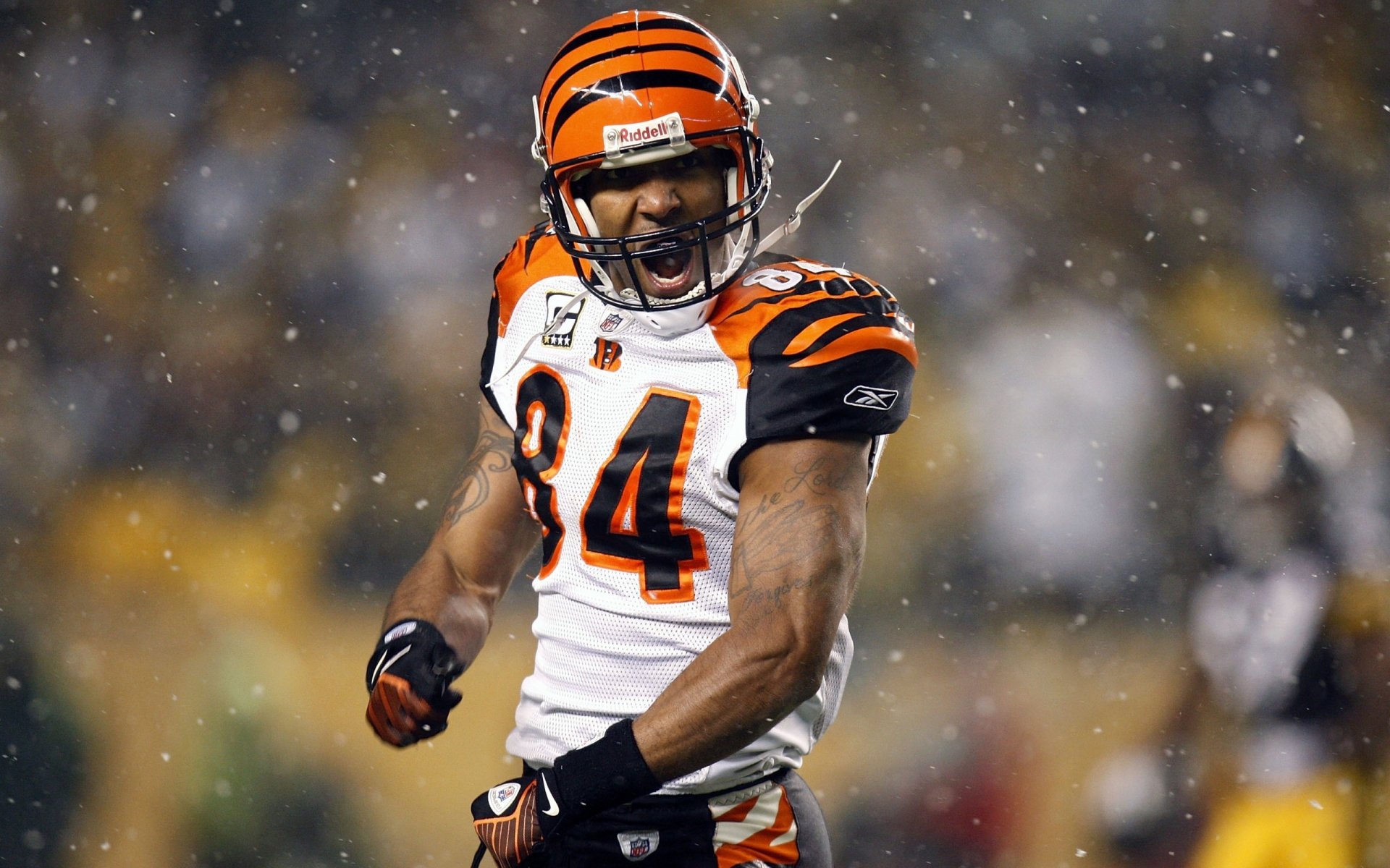 t houshmandzadeh american football spieler