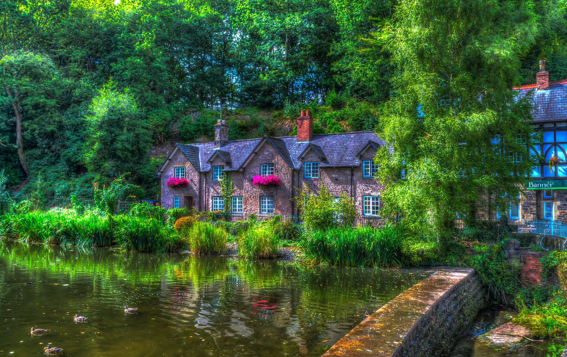 lymm angleterre maison étang canards été hdr arbres ville