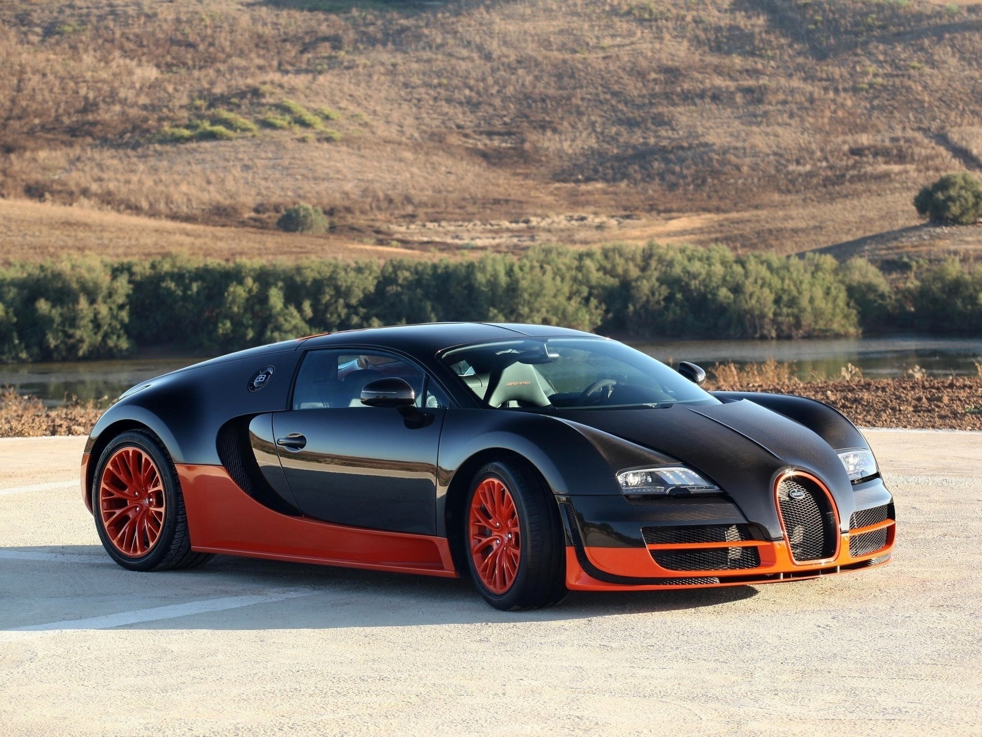 bugatti veyron carbono