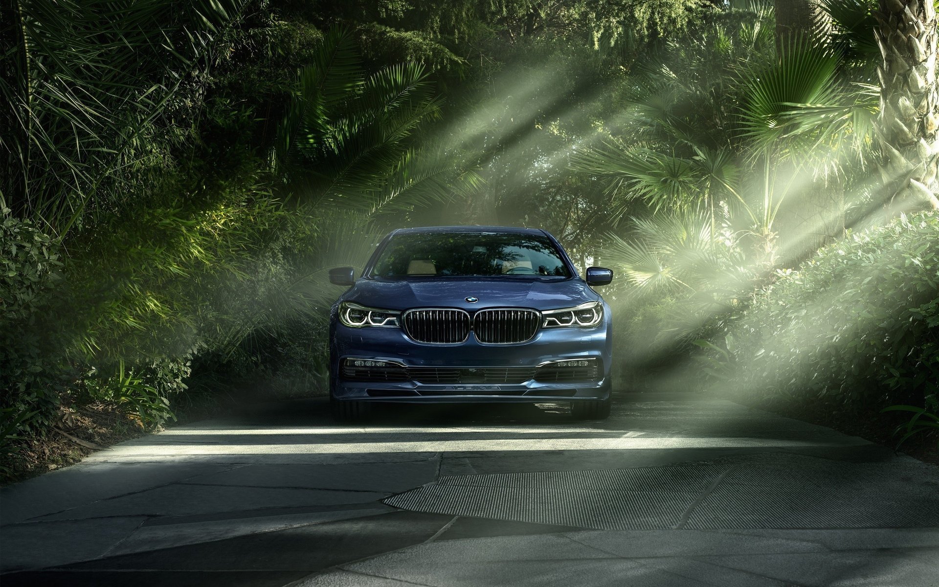 supercar bmw straße palmen strahlen sonne schön