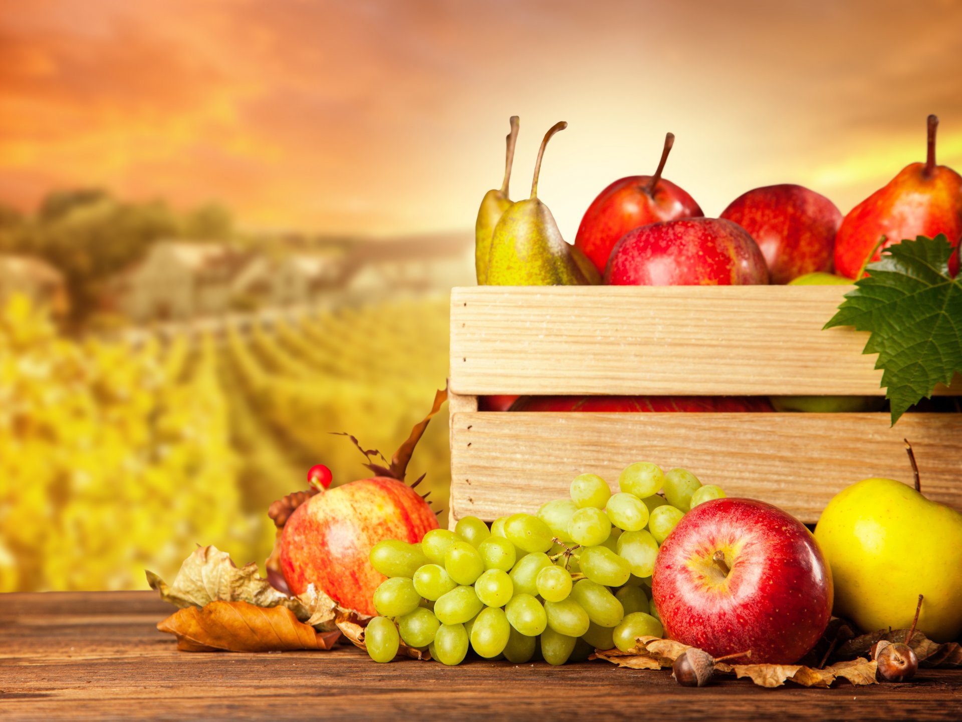 otoño cosecha frutas manzanas peras uvas caja