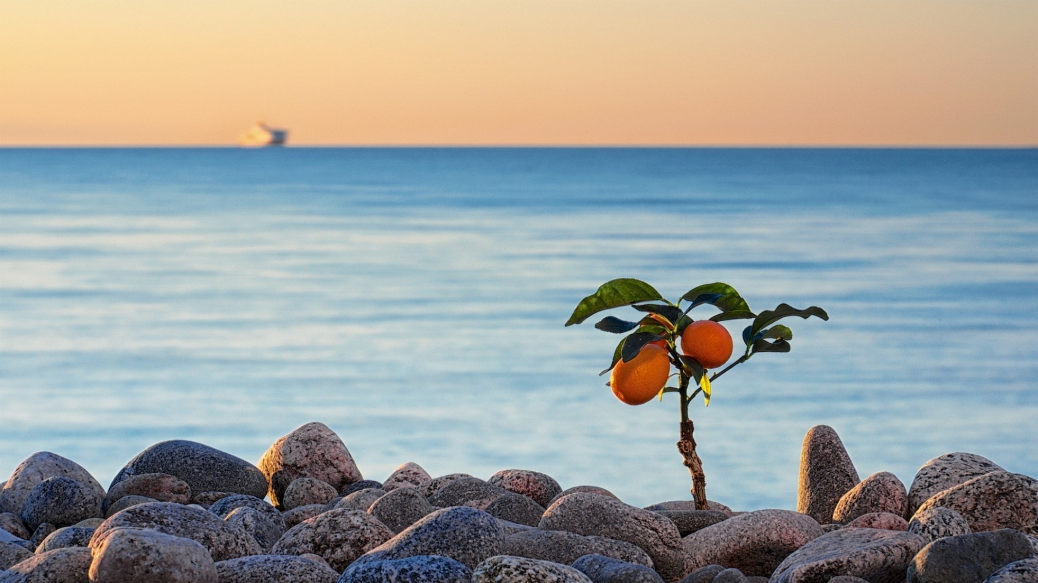 calamondin eduard gorobec pietre ciottoli mare orizzonte estonia