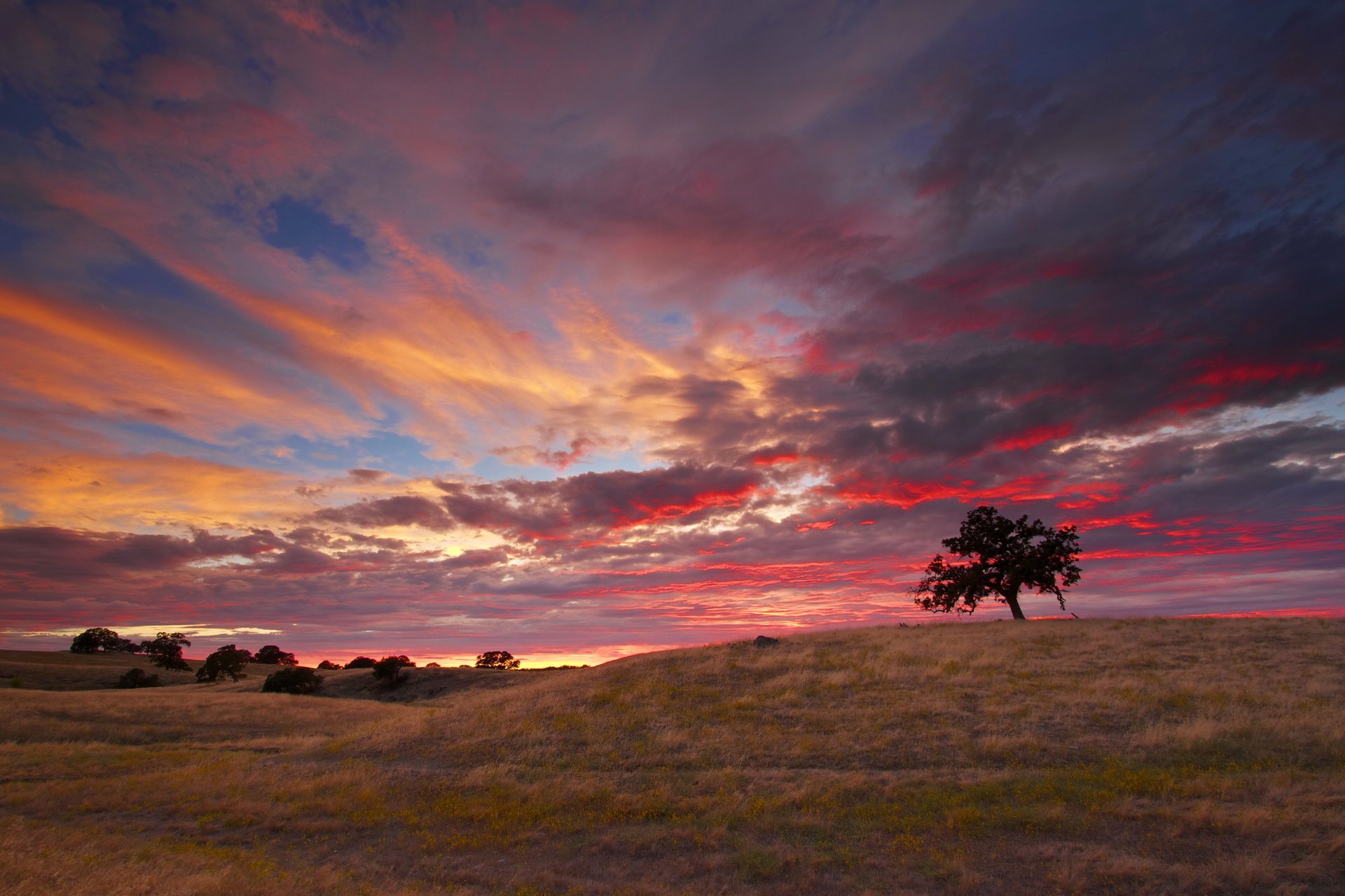 tramonto cielo stati uniti california nuvole natura