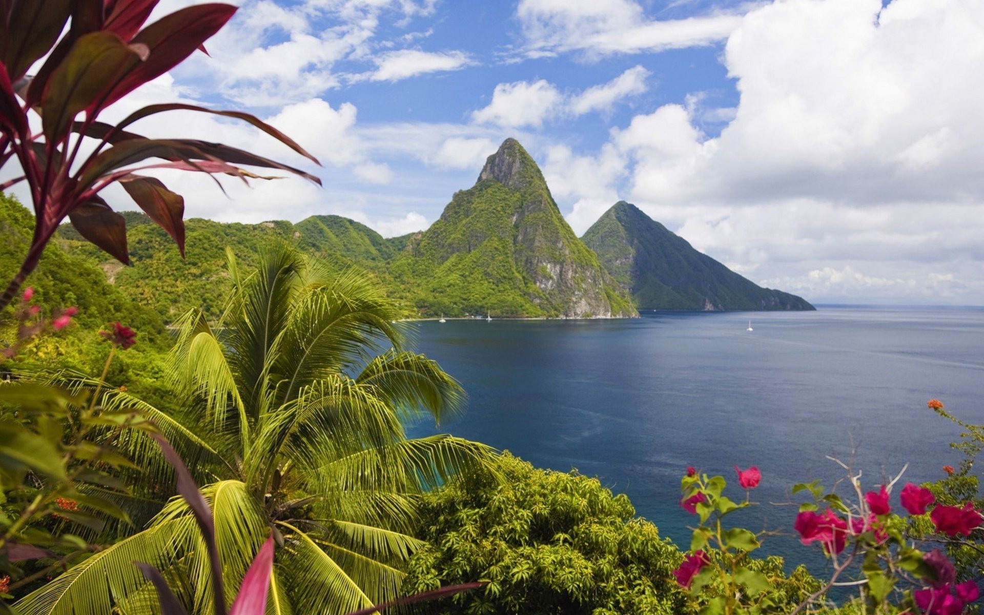 caraibi paesaggio oceano palme montagne costa