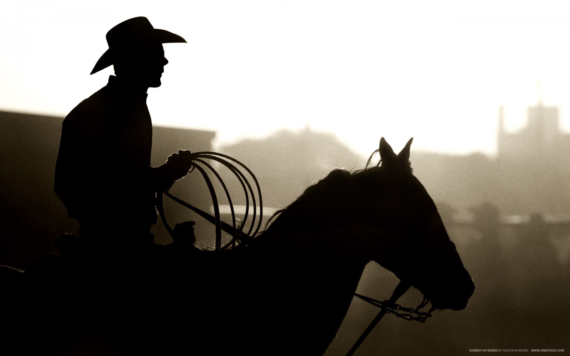 silhouette cowboy lasso