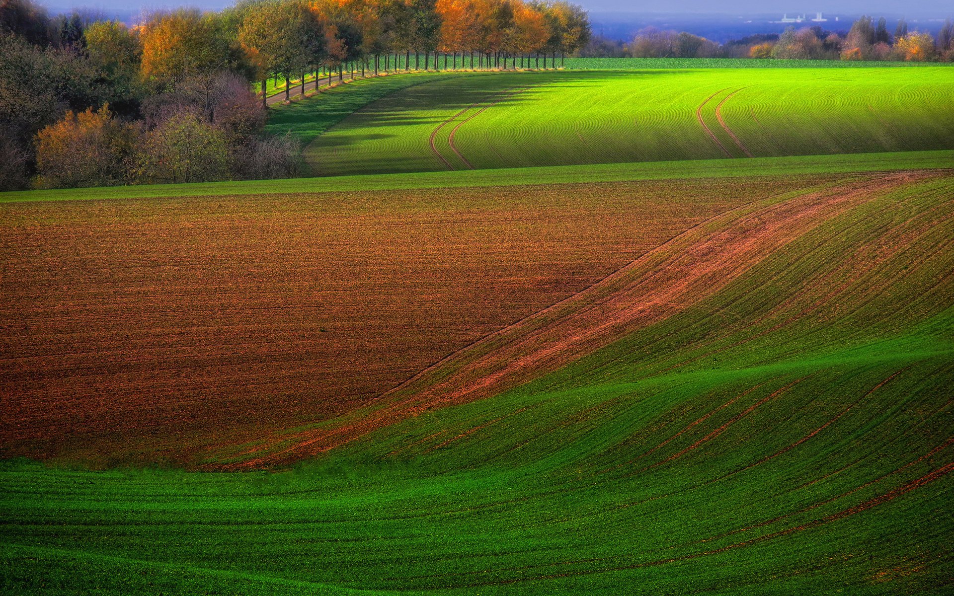 feld sommer