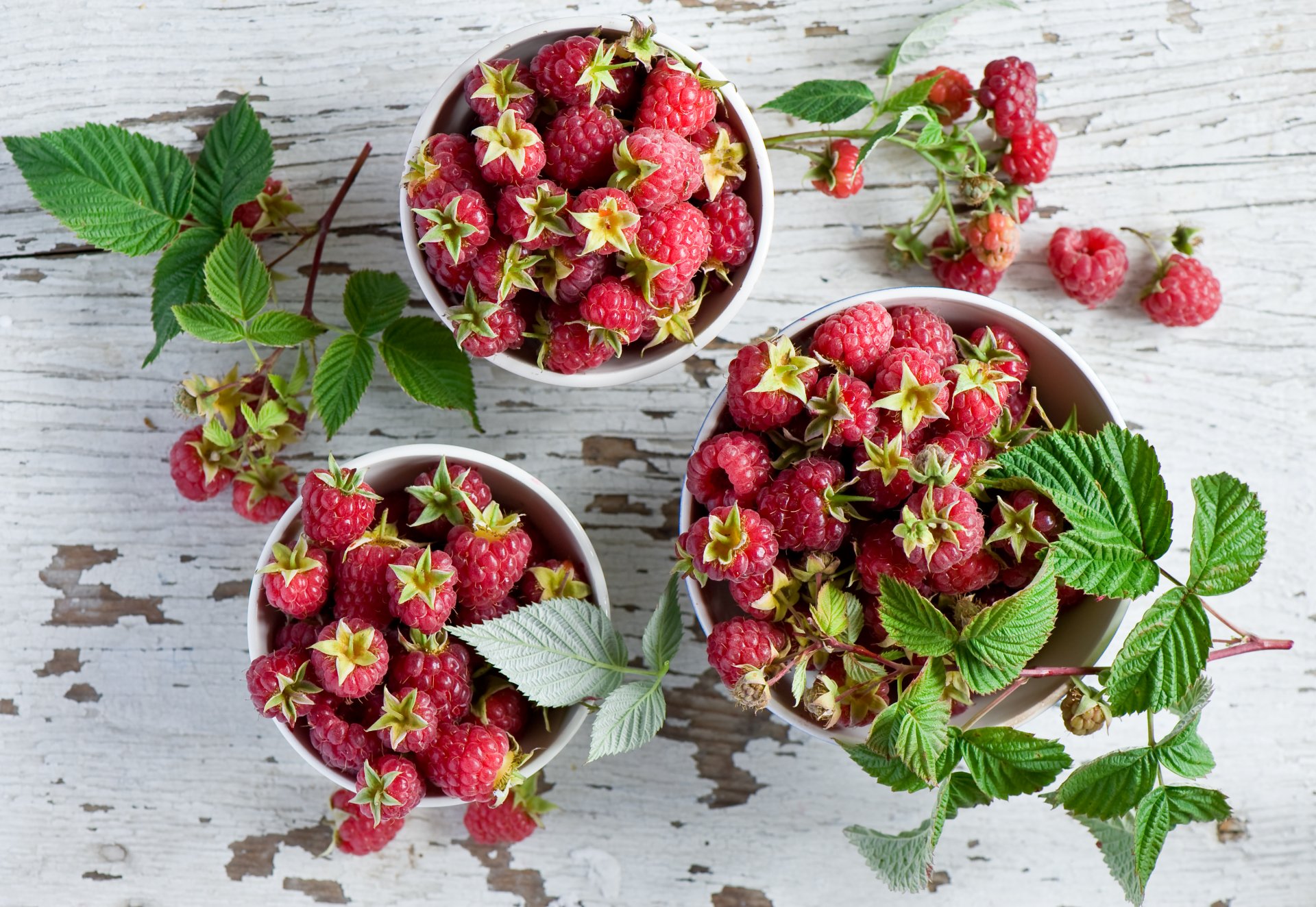 baies framboises feuilles