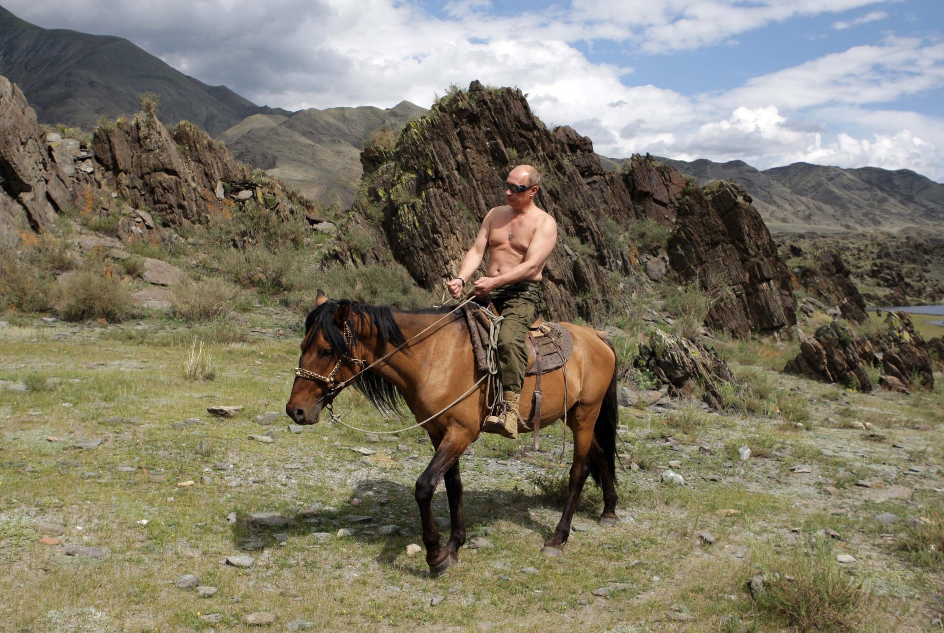 vladimir putin presidente de rusia primer ministro de rusia caballo naturaleza montañas putin fondo de pantalla