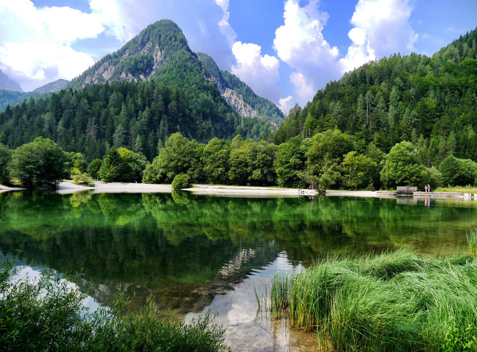 montagnes forêts lac joliment nature