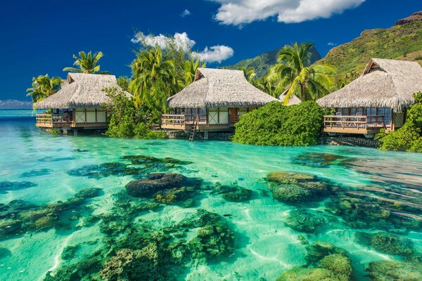 Gute Natur in einem Resort in den Tropen ist wie ein Paradies