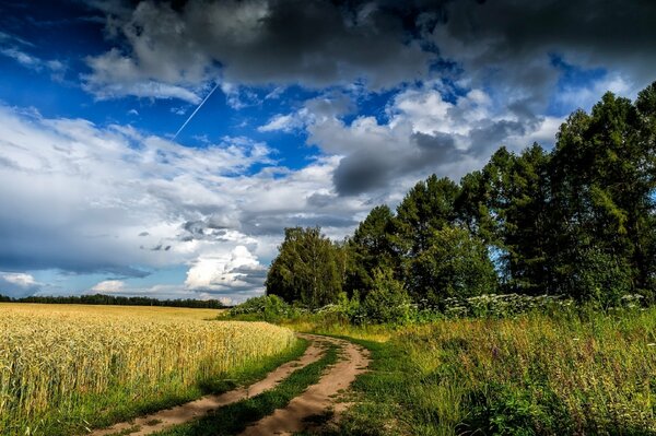 Bel cielo in estate nel campo