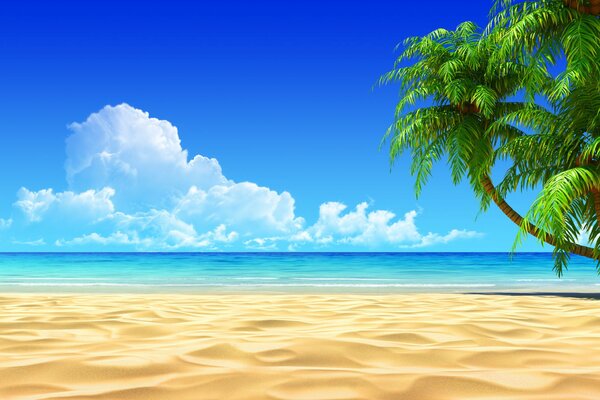 Tropical landscape with palm trees and sand