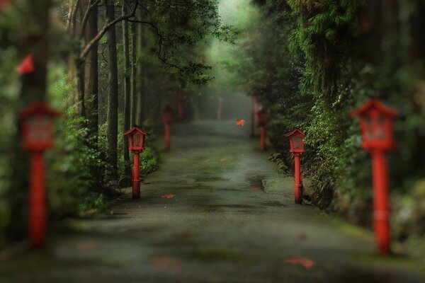 Park alley with lanterns and trees