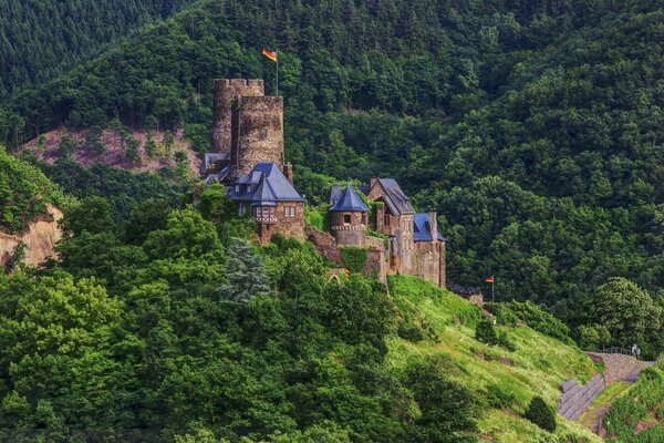 In Deutschland steht eine große Burg im Wald