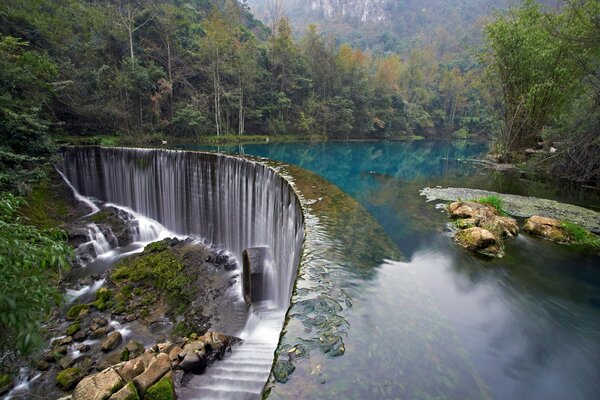 Presa en el bosque a principios de otoño