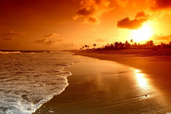 Plage de sable au coucher du soleil