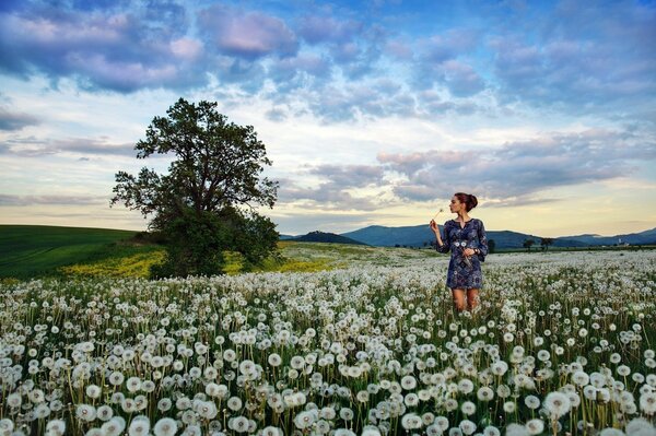 Chica en vestido azul en el campo con dientes de León