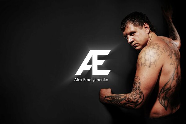 Alexander Emelianenko in mixed martial arts