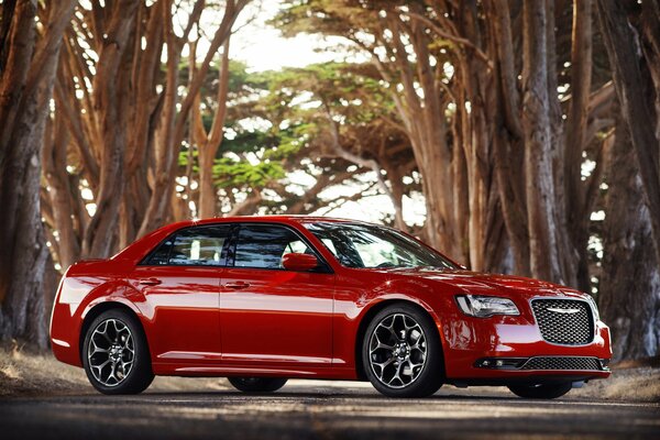 Chrysler rouge dans la vue latérale de la forêt