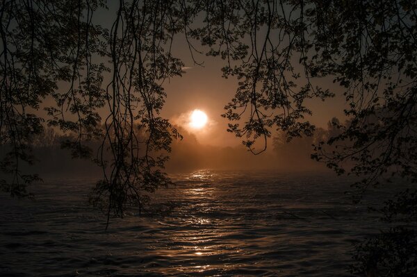 The order on the riverbank got tangled in branches