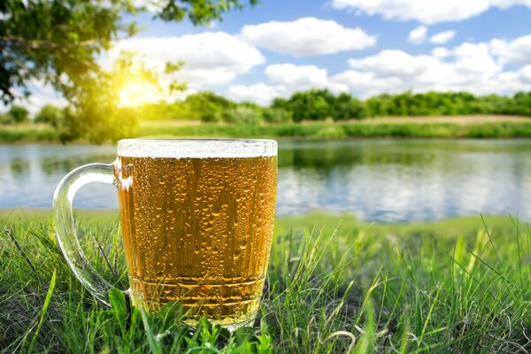 A mug of beer against the background of nature