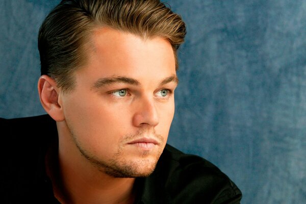 Leonardo dicaprio look. Background. Photo