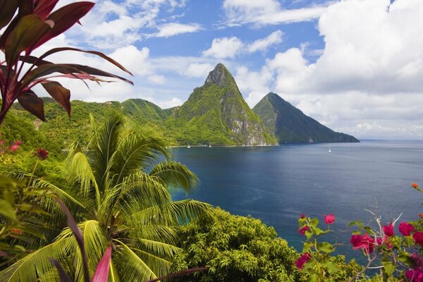 Les îles des Caraïbes offrent une vue magnifique sur l océan