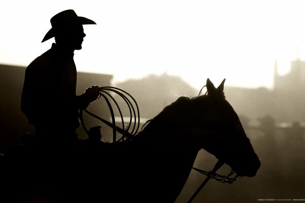 Image de la silhouette d un cow-Boy sur un cheval