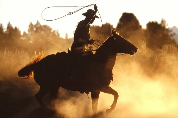 Cow-Boy sur un cheval dans un champ