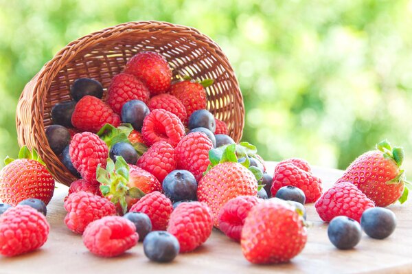 Fresh berries dropped out of the basket