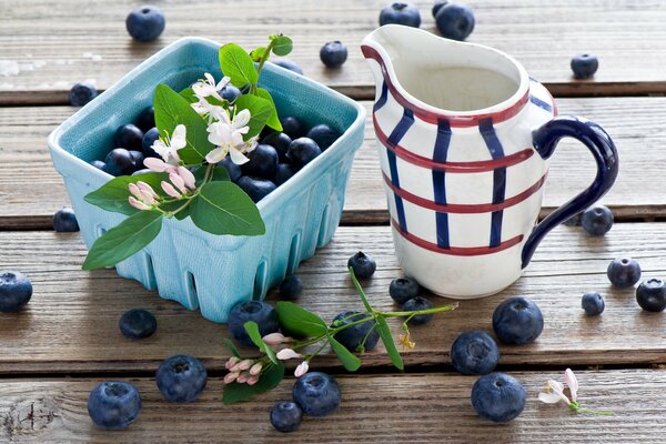 Blueberries with jasmine next to a jug