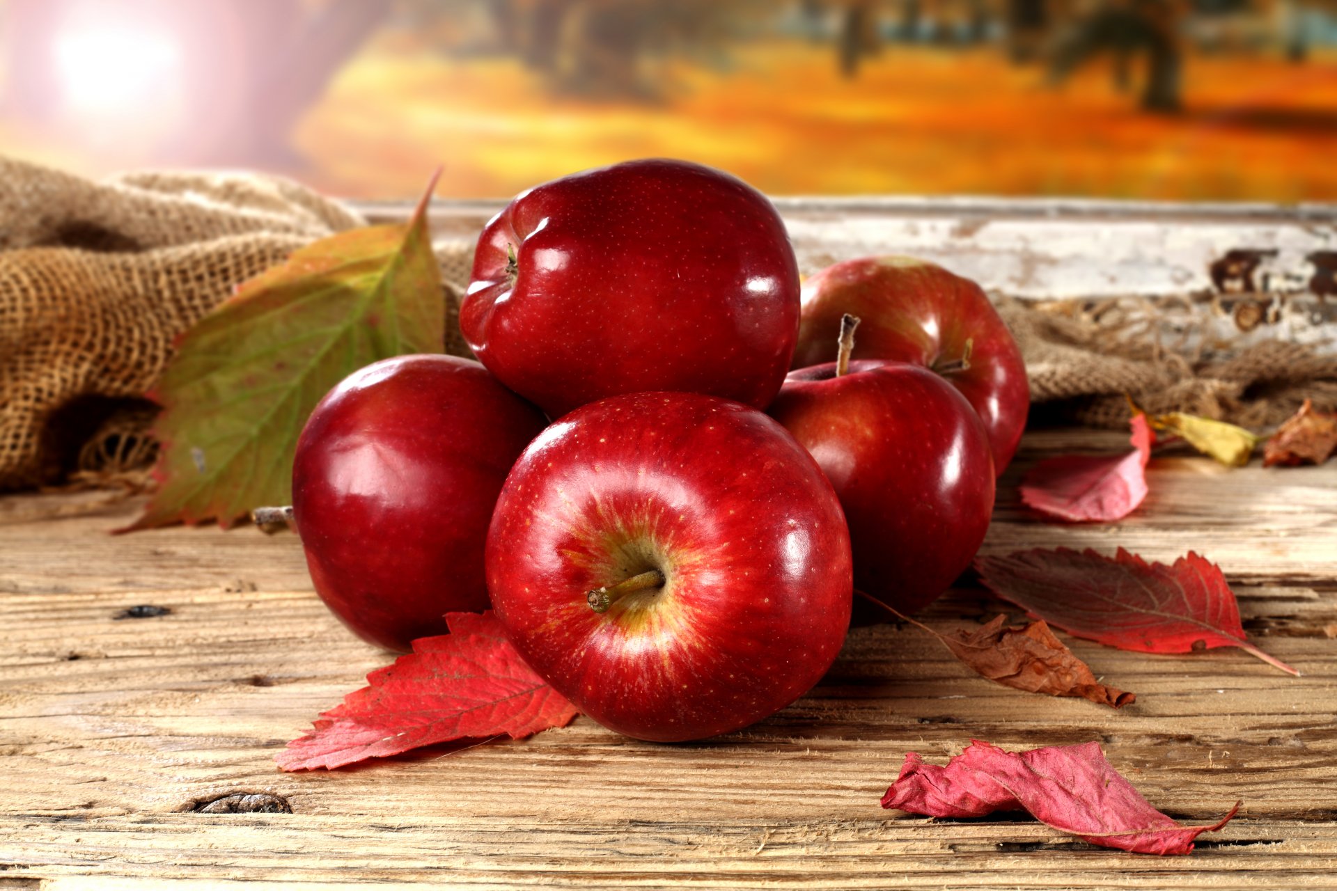 autumn leaves red apple