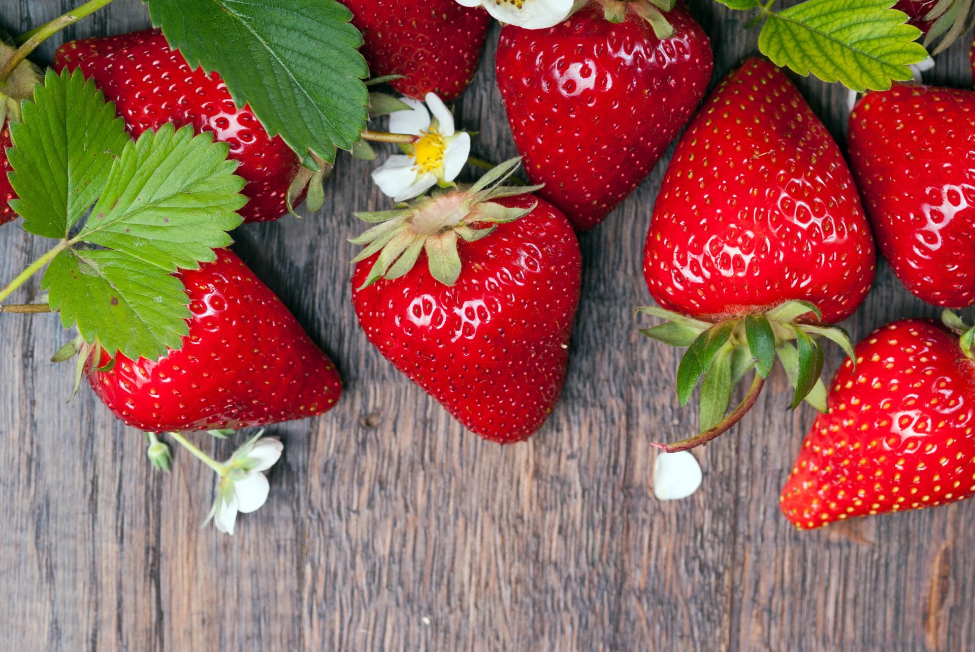 erdbeeren frische beeren baum beeren