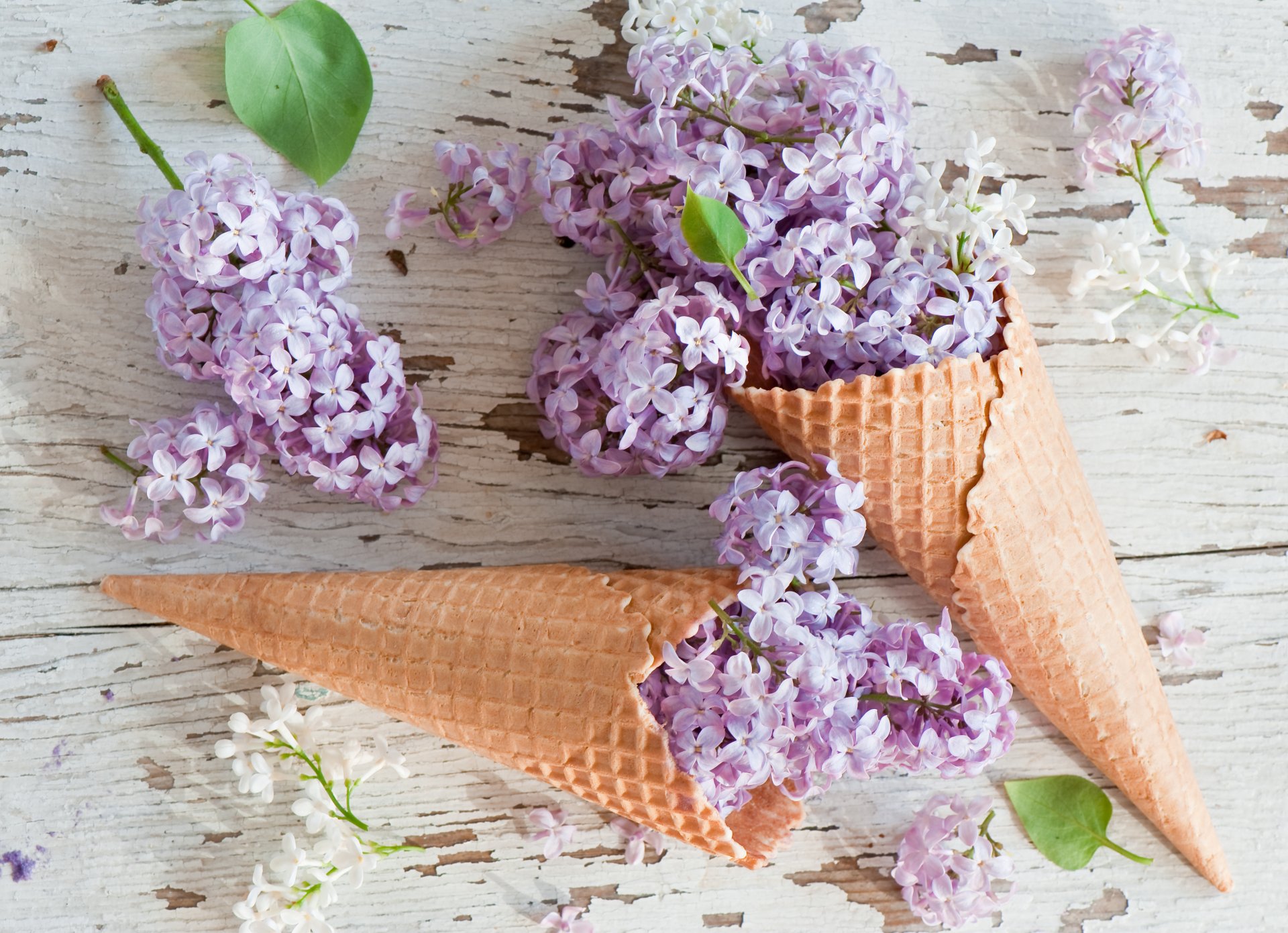 waffelhorn blumen flieder waffelkegel flieder